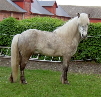 Silver4